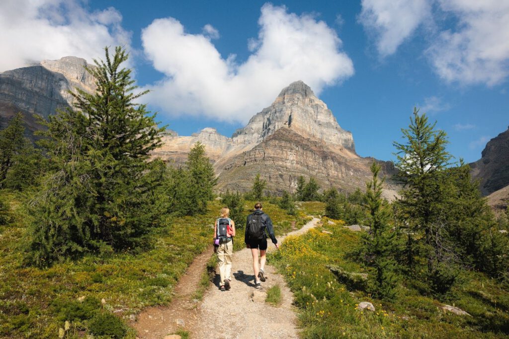 Larch Valley Hike