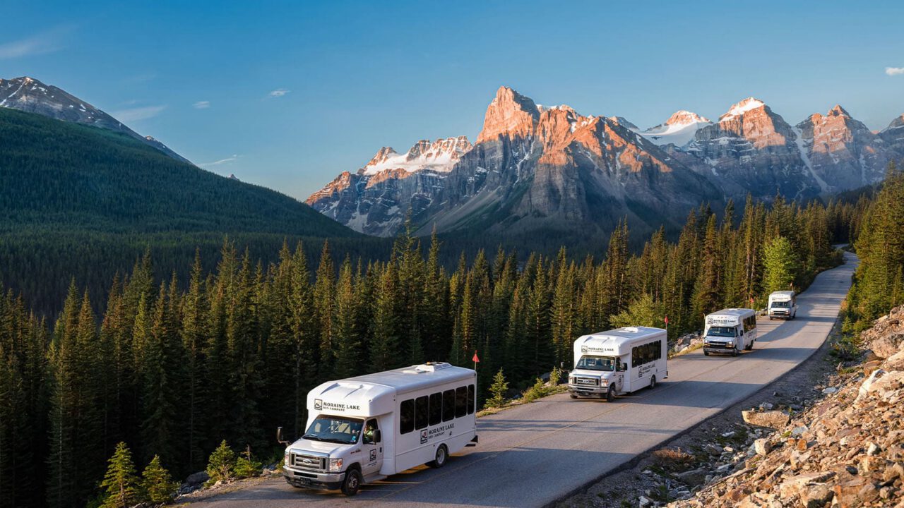 Moraine Lake Bus Company shuttle buses on the road through the forest near Lake Louise