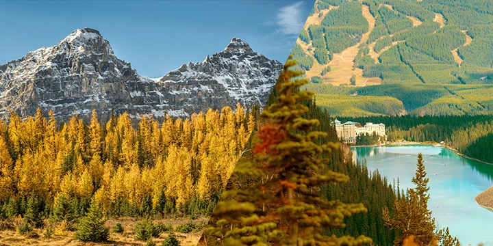 Moraine Lake + 1 Hr at Lake Louise in larch season