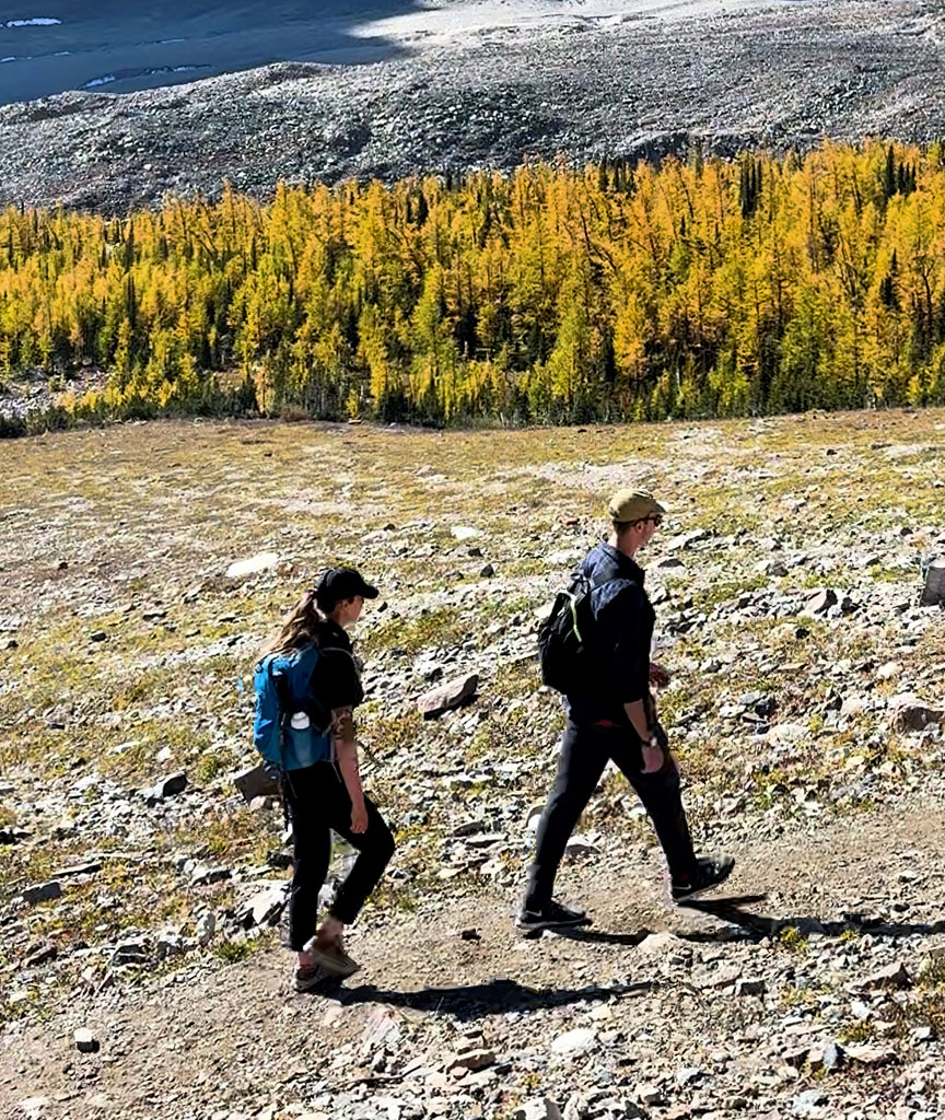 Larch season hiking near Moraine Lake