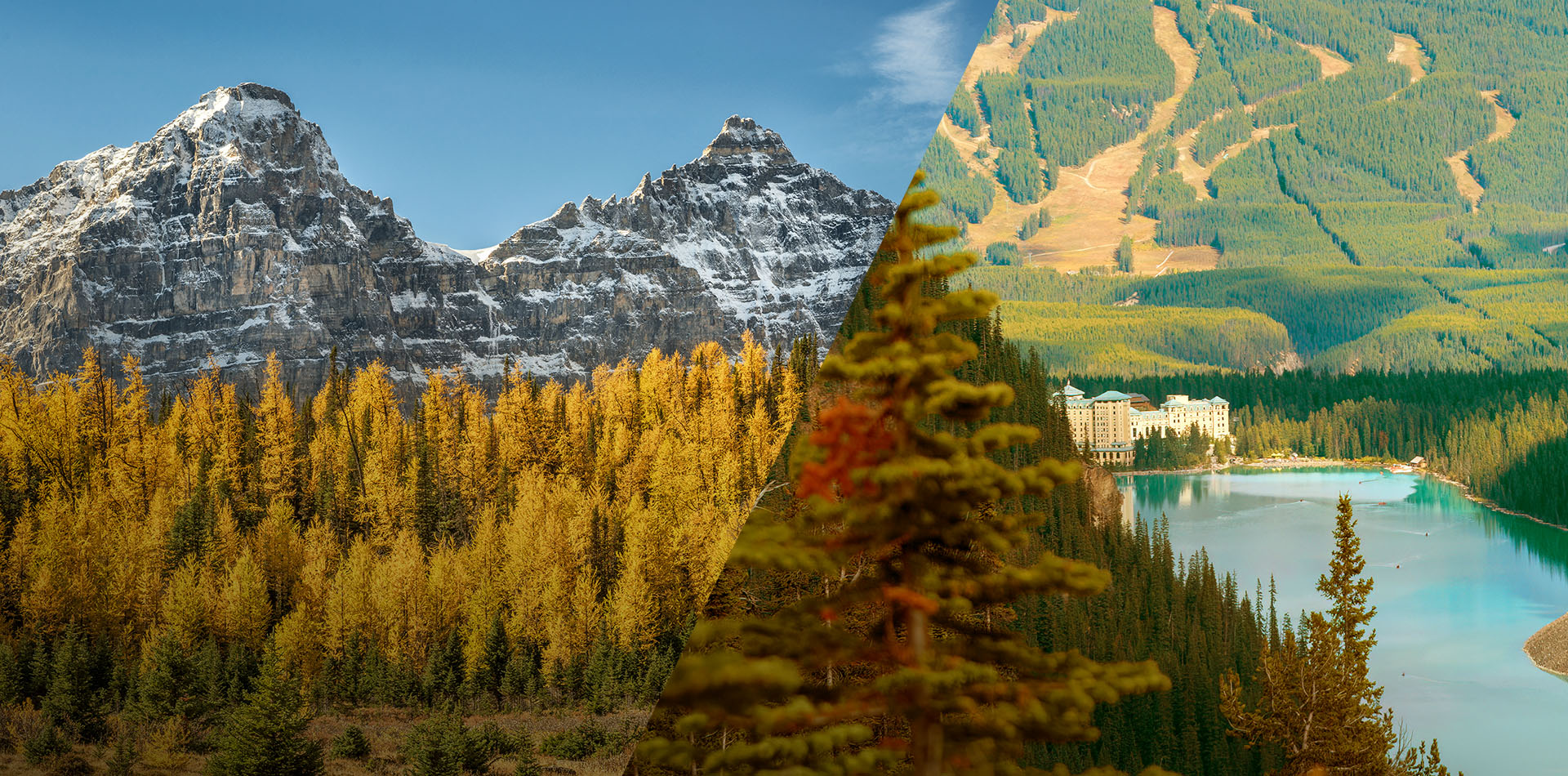 Moraine Lake Bus Company shuttle at Moraine Lake