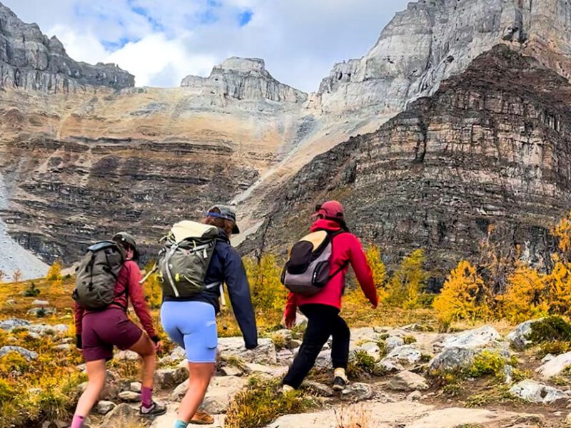Larch Valley Hike: Banff’s Best Fall Colour Trail (2026)