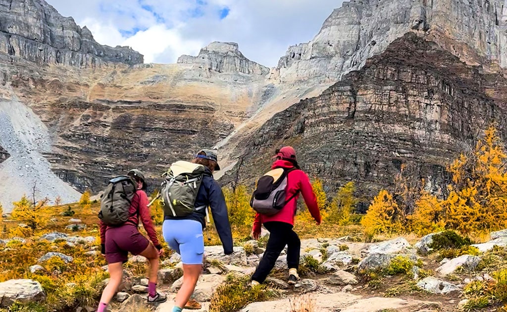 Larch Valley Hike: Banff's Best Fall Colour Trail (2026)